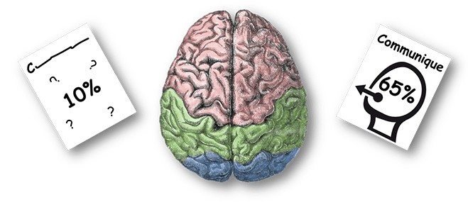 Clip Art image of brain.